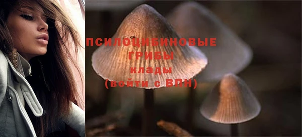 ECSTASY Навашино