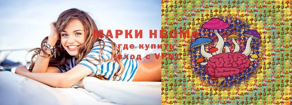гашик Надым