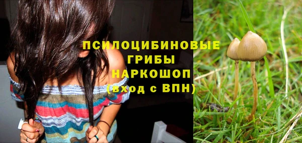 ECSTASY Навашино