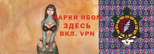 гашик Надым