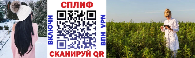 Марихуана план  продажа наркотиков  Островной 